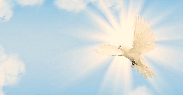 The Gifts Of The Holy Spirit Are For Today! | Christian Learning & News